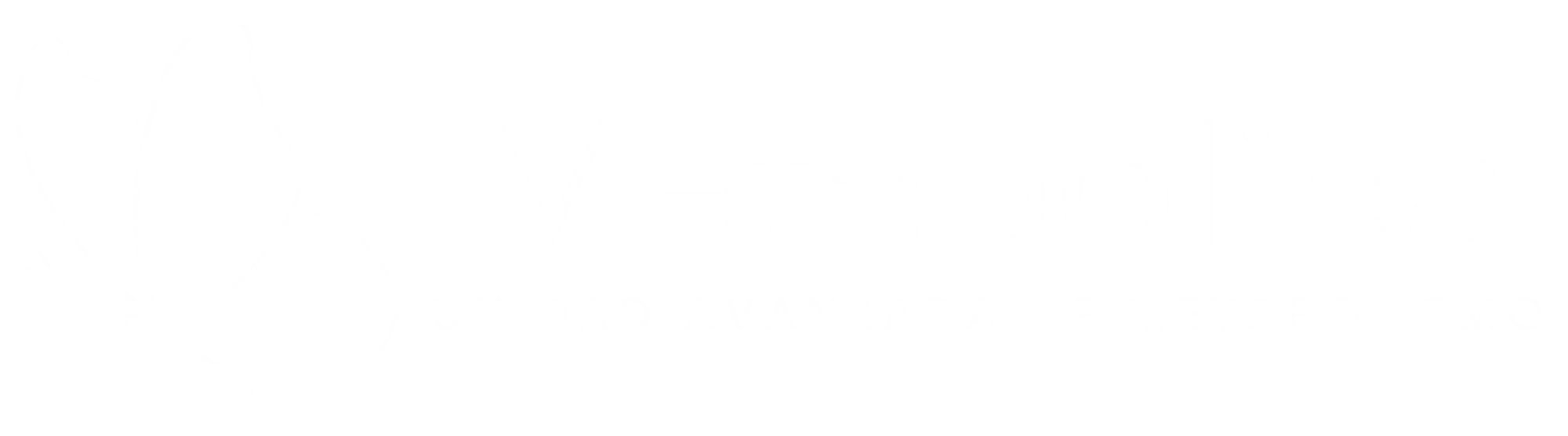 logo-footer-metabolica